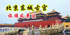 欧美激情强奸乱伦中国北京-东城古宫旅游风景区